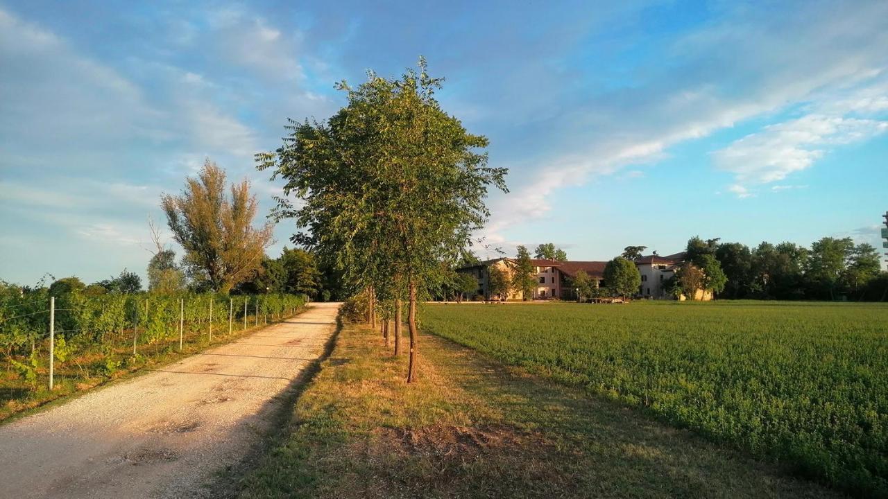 Agriturismo Alle Albare Montorio Veronese Eksteriør bilde
